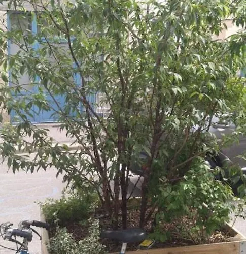 Appartement De Nantes